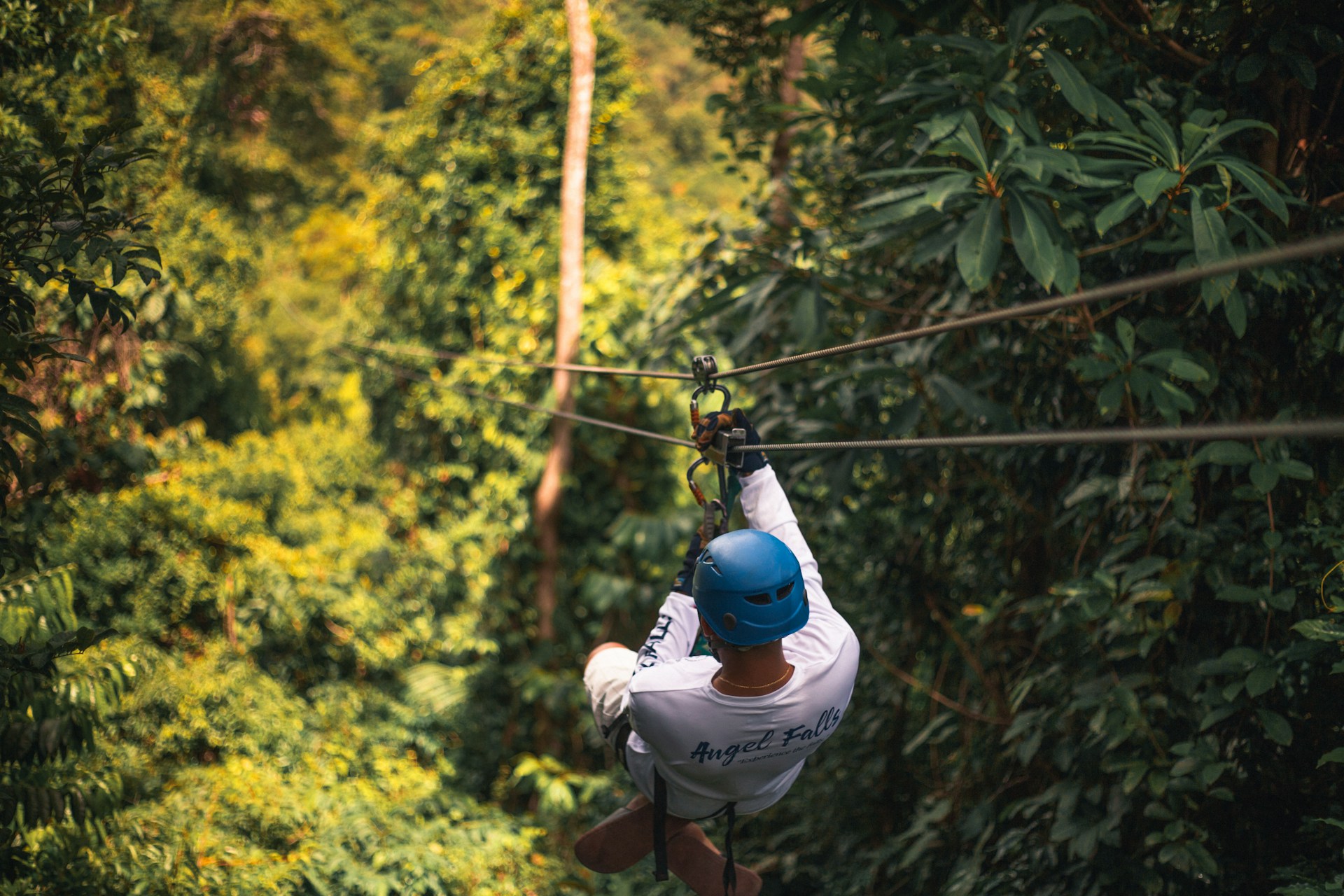 aristedes-carrera-hM_ftuySjhk-unsplash